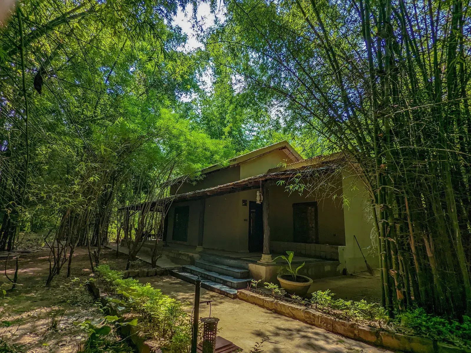 Syna Tiger Resort, photo 2