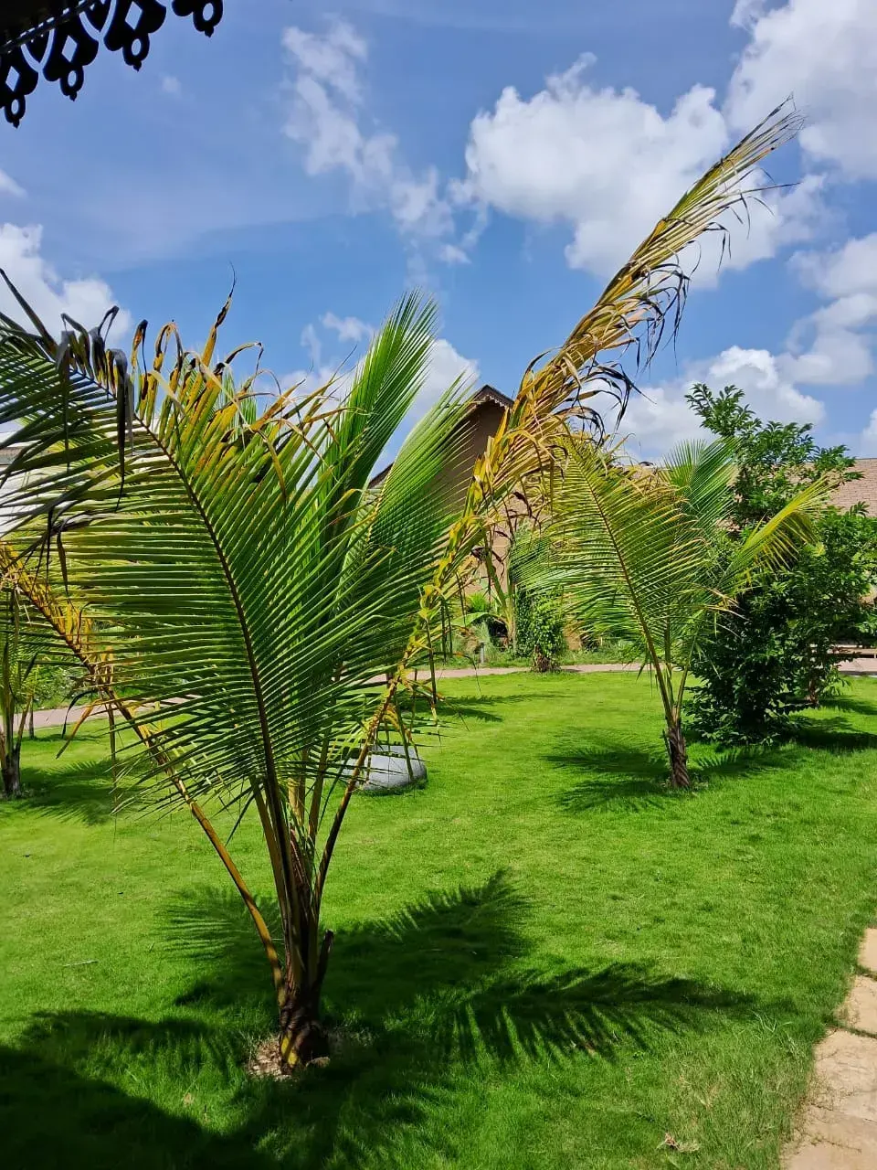 Orient Woods Resort, photo 3