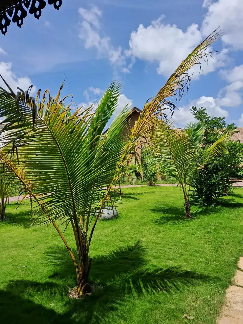 Orient Woods Resort, photo 3