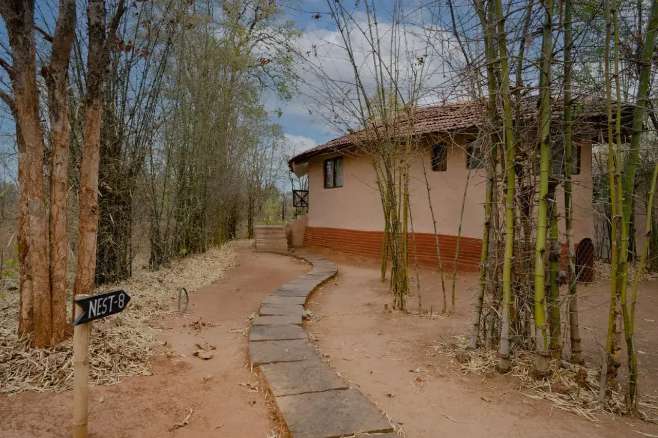 Monsoon Forest Resort, photo 5