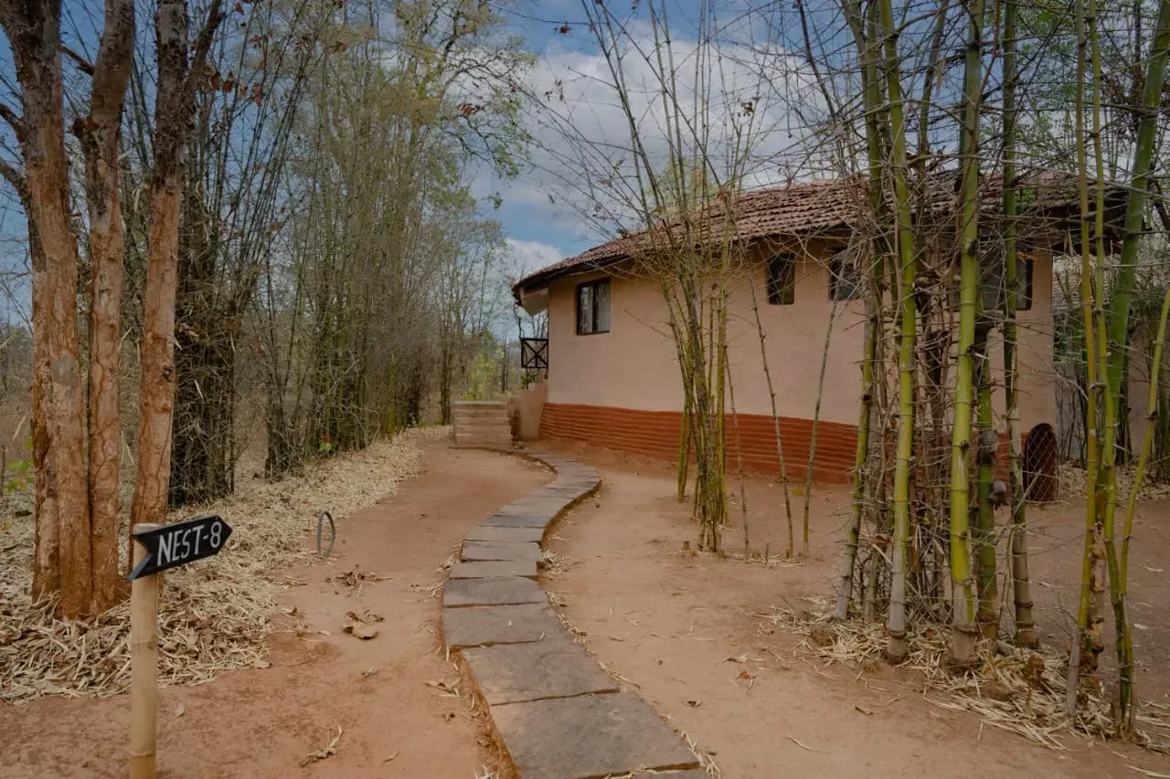 Monsoon Forest Resort, photo 5