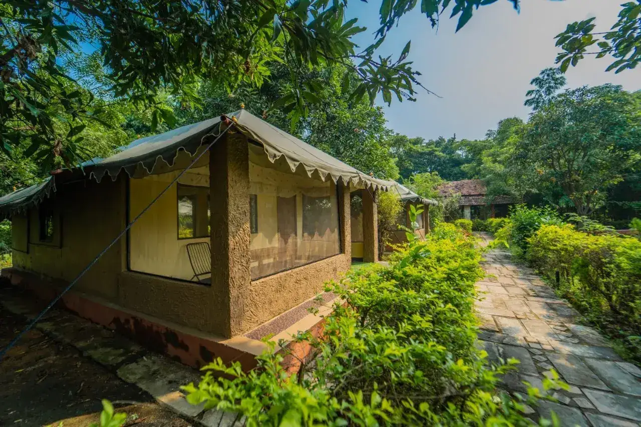 Camp Serai Tiger Resort, photo 4