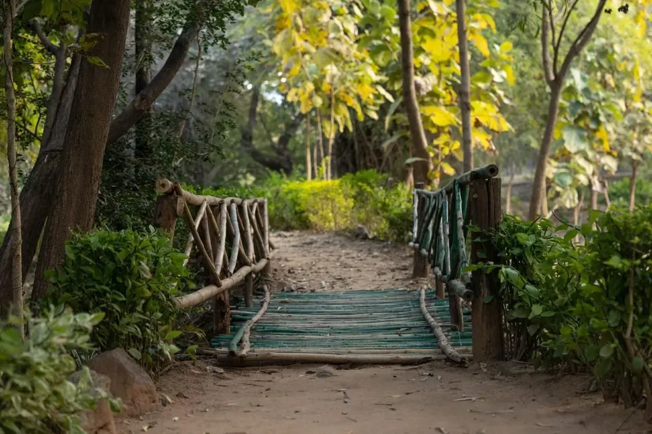 Tiger Trails Resort, photo 5