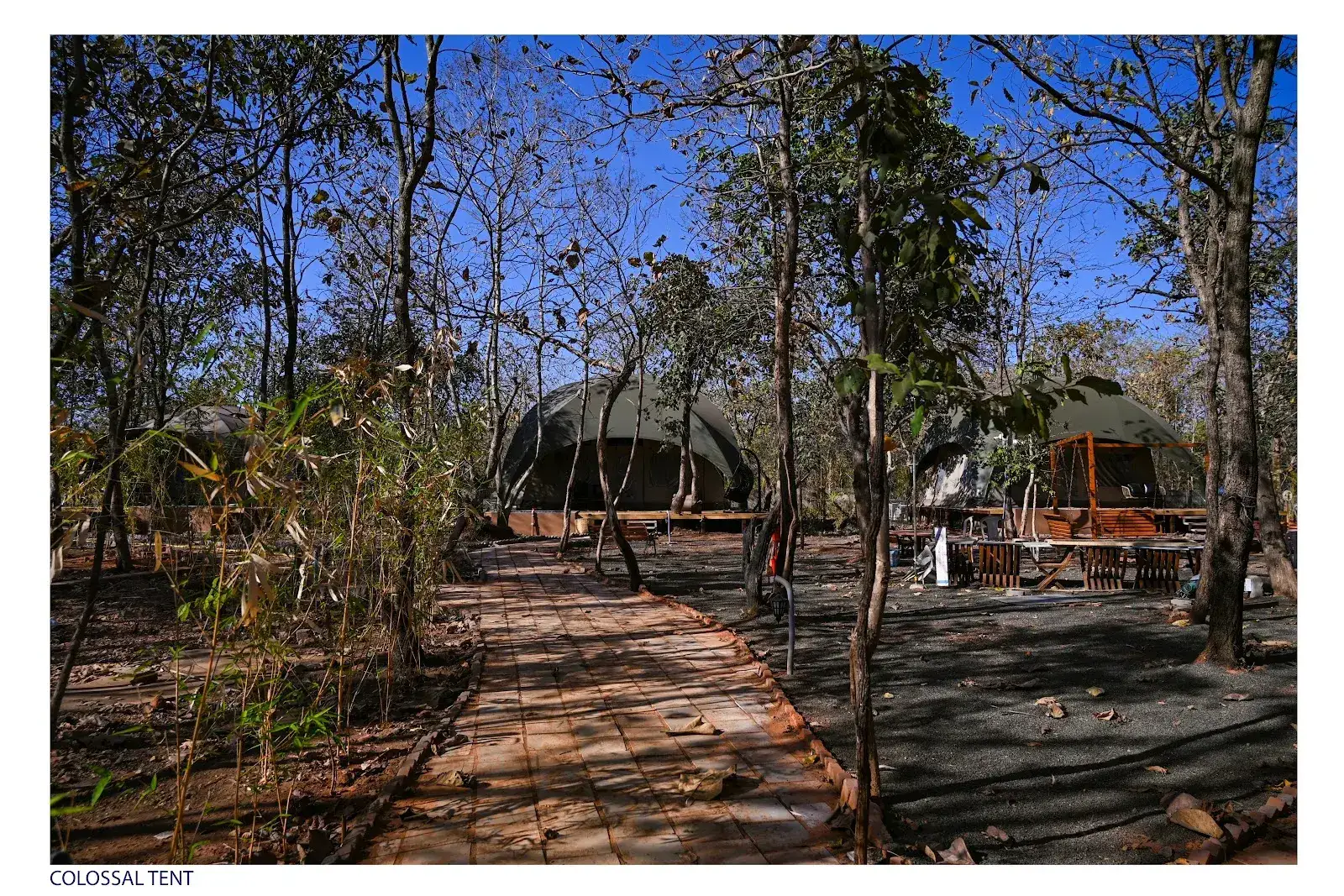 Vrruksh Ecostay, photo 4