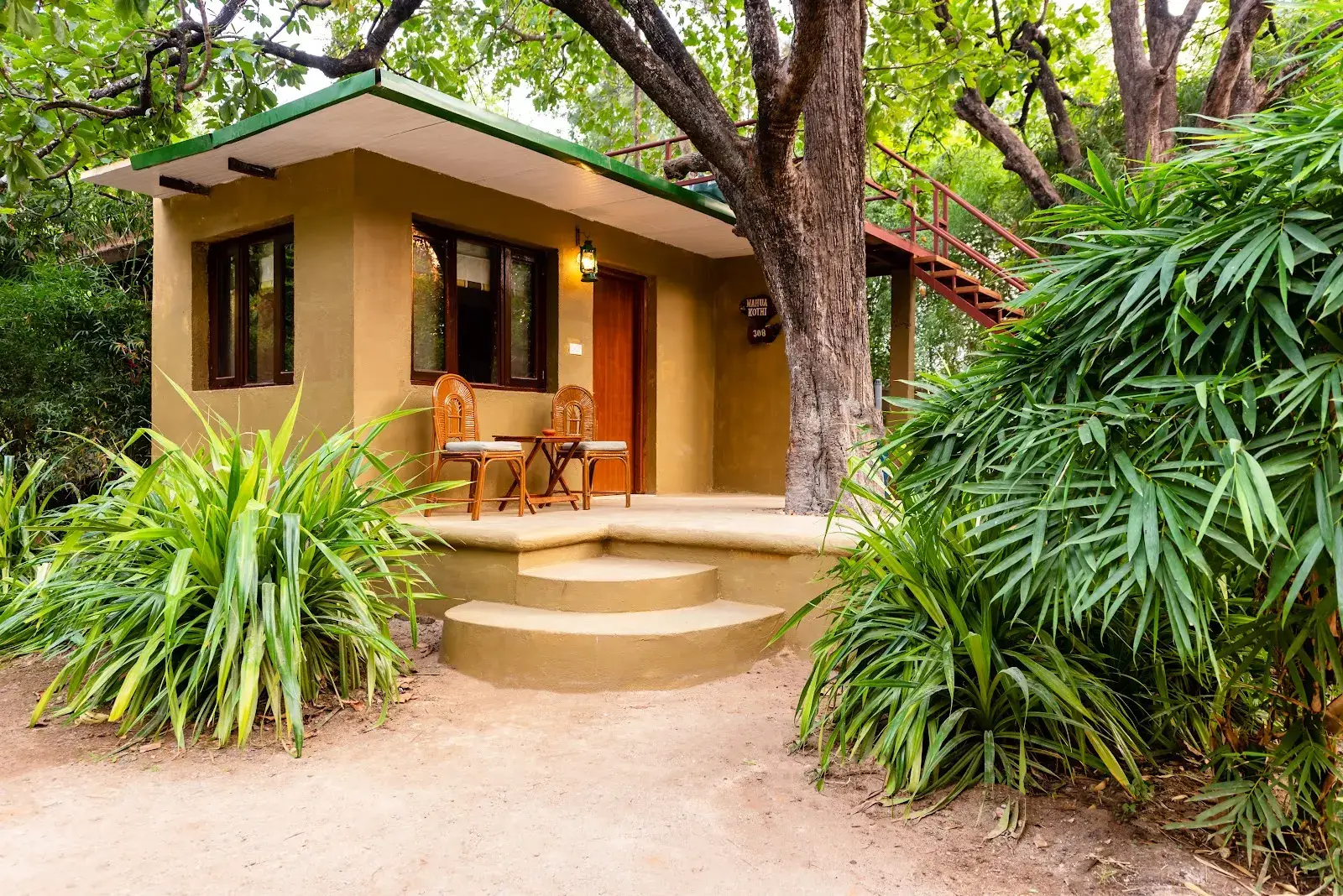 Pench Jungle Camp, photo 5