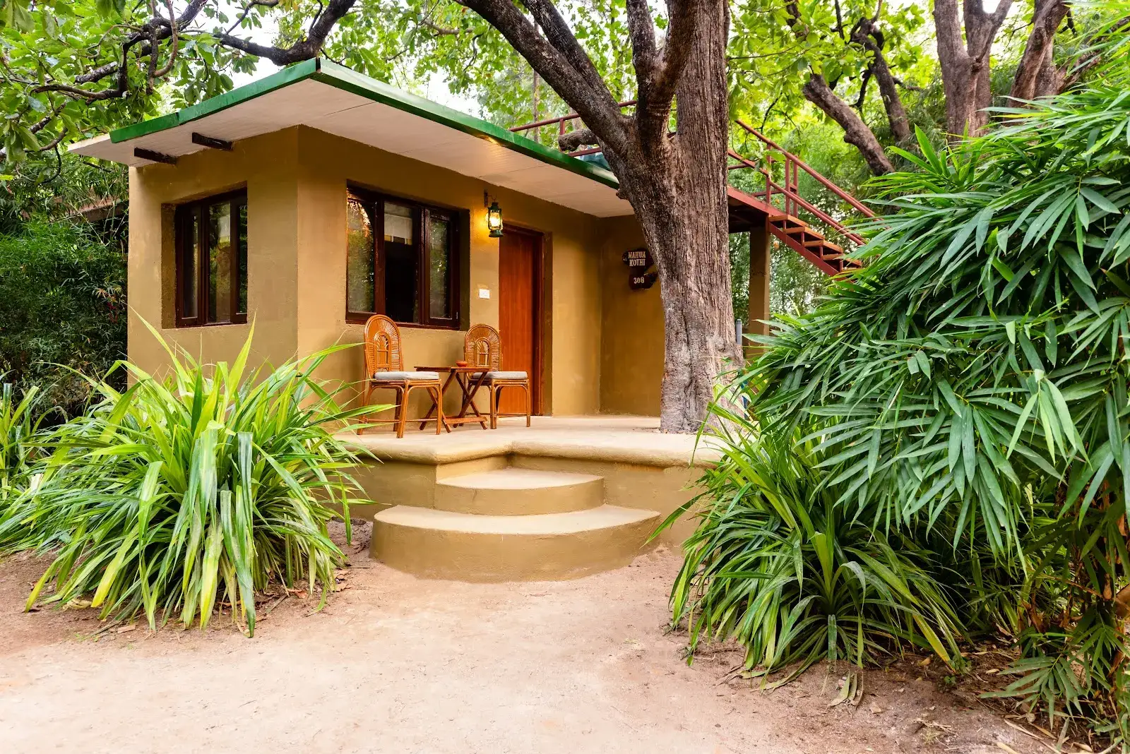 Pench Jungle Camp, photo 5