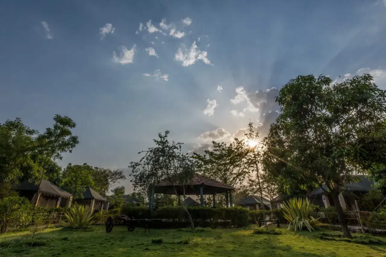Camp Serai Tiger Resort, photo 5