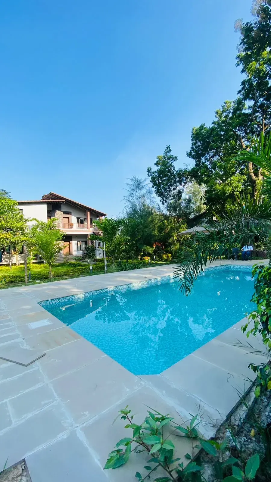 Bandhav Kothi, photo 6