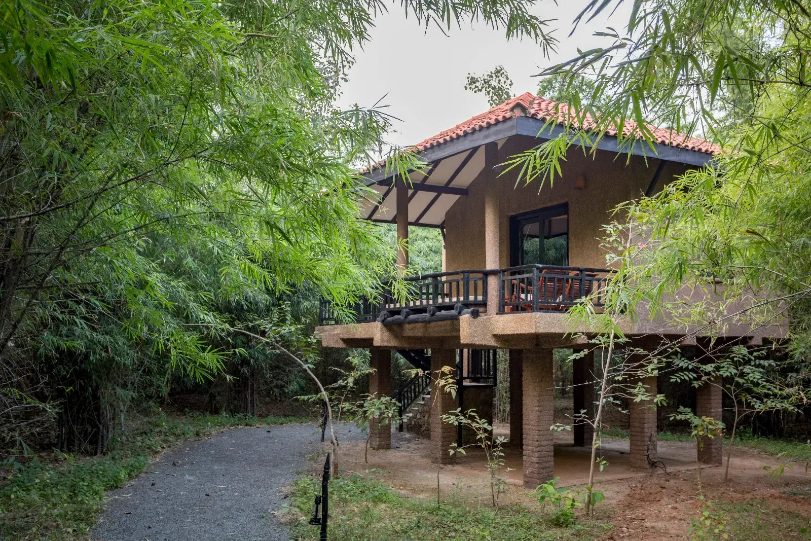 Kings Lodge - Bandhavgarh, photo 6