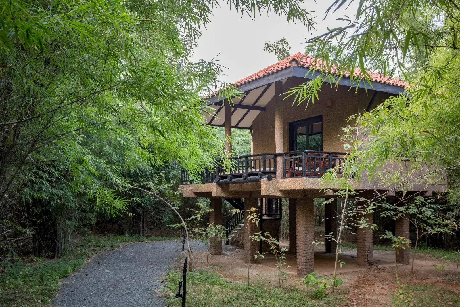 Kings Lodge - Bandhavgarh, photo 6