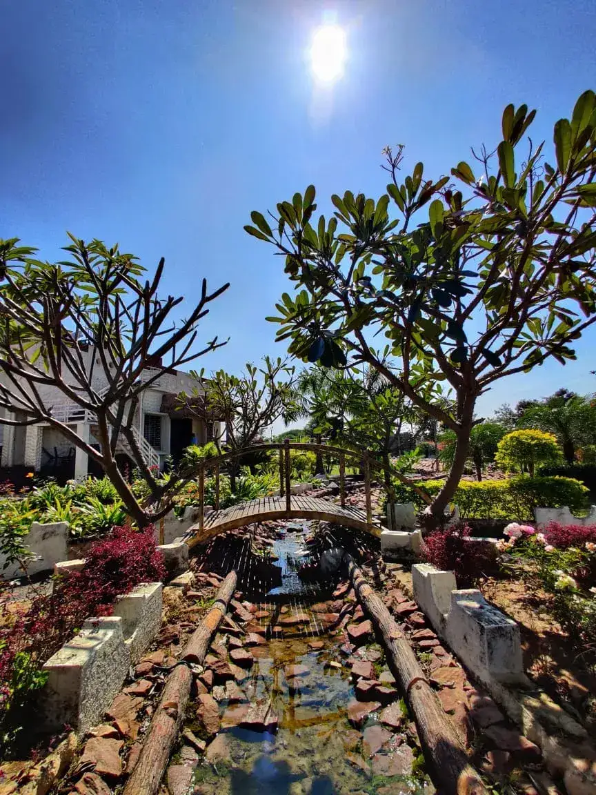 Royal Karhandla Resort, photo 5