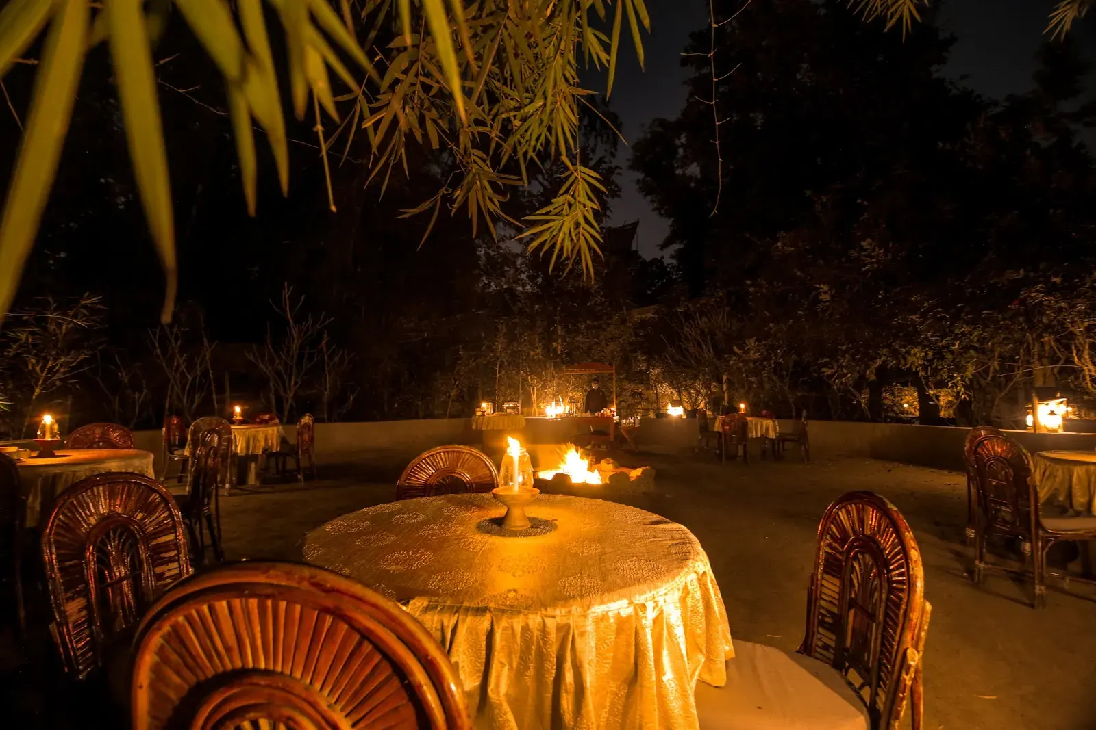Pench Jungle Camp, photo 6