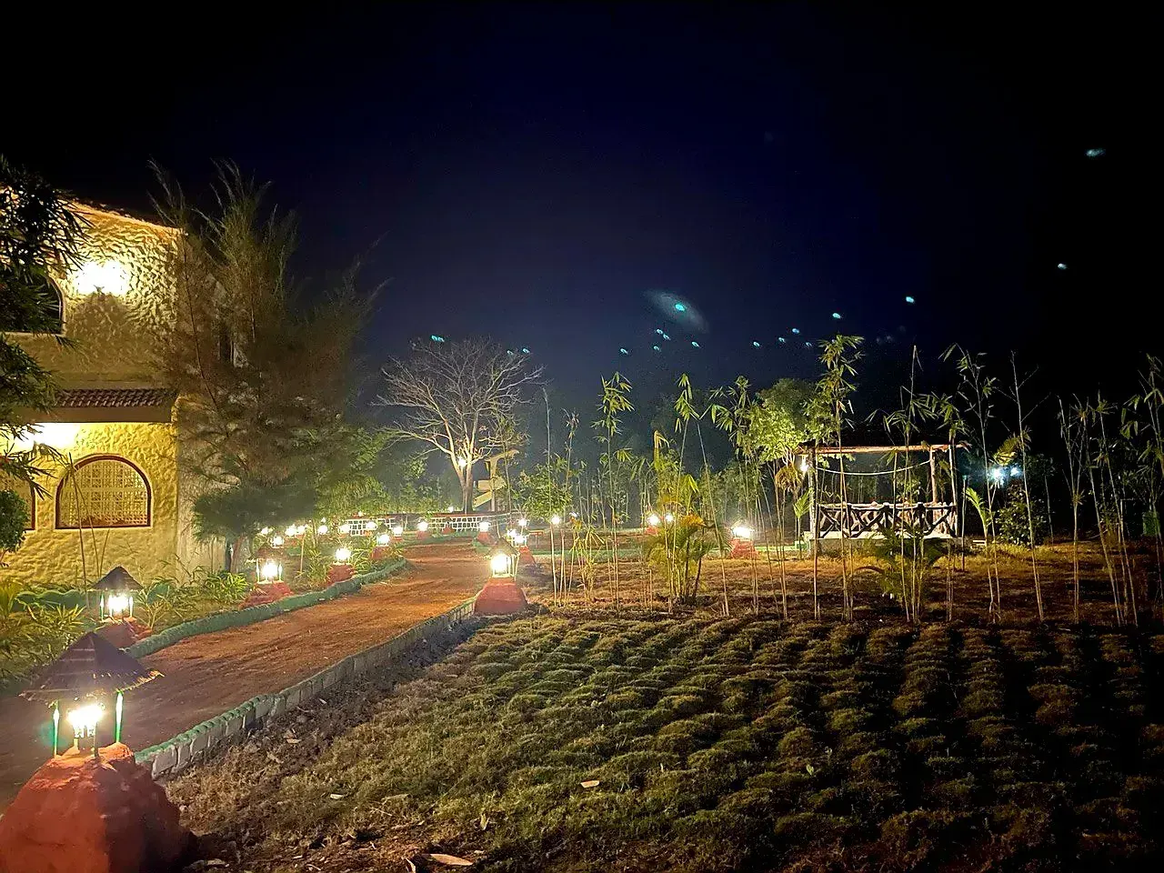 Bagh Kothi Resort, photo 8