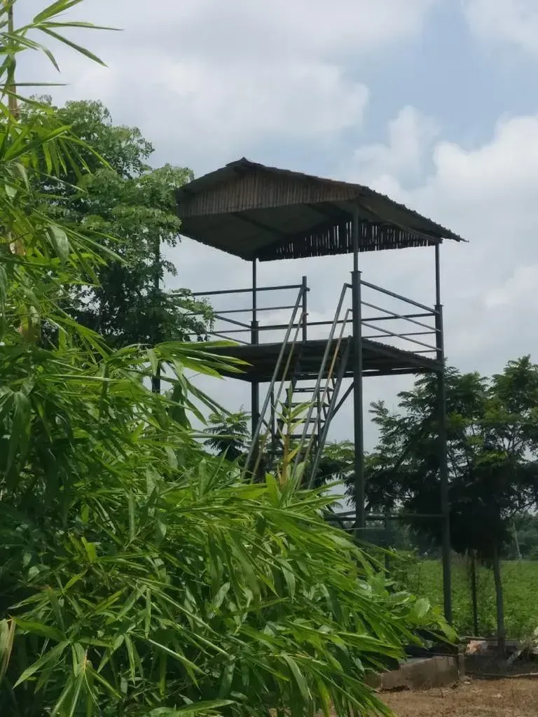 K P Woods Resort, photo 8