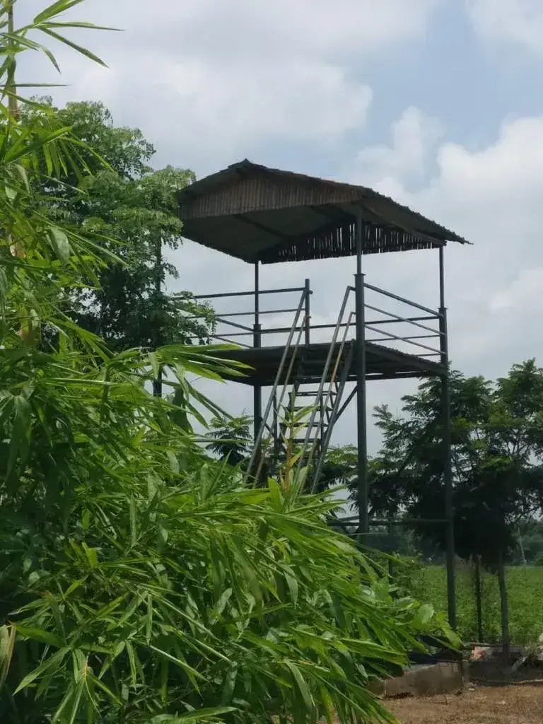 K P Woods Resort, photo 8