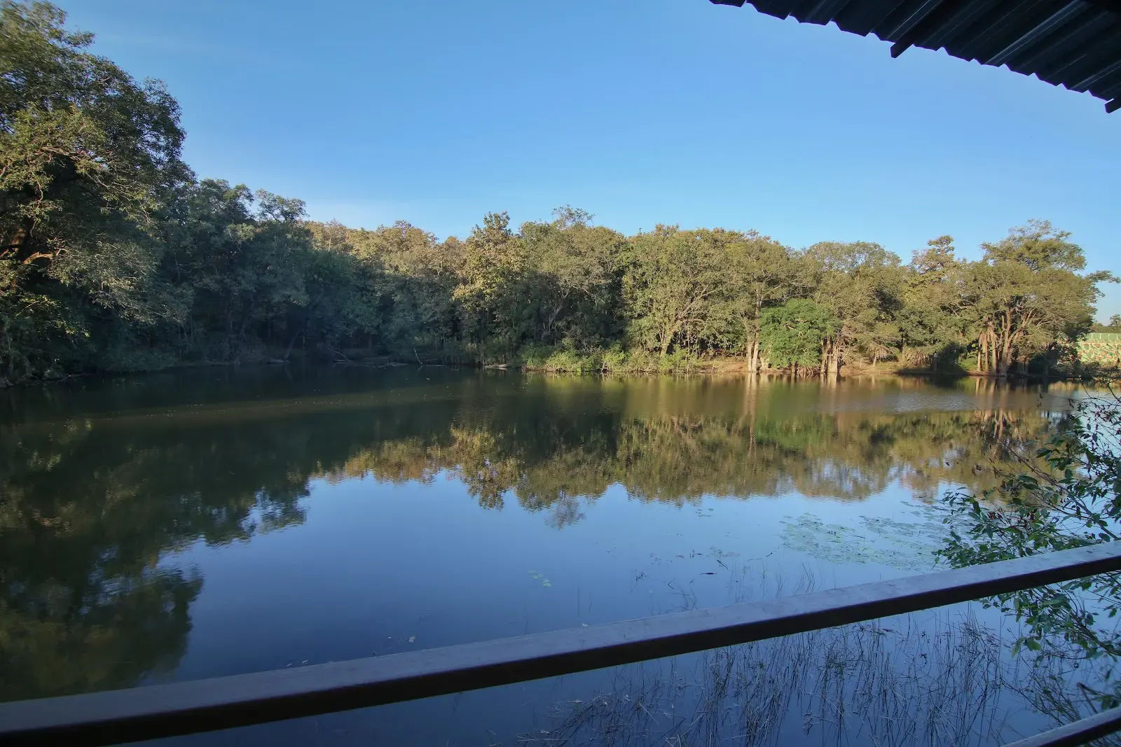 Rukhad Jungle Camp, photo 10