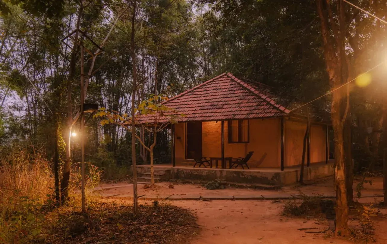 Monsoon Forest Resort, photo 11