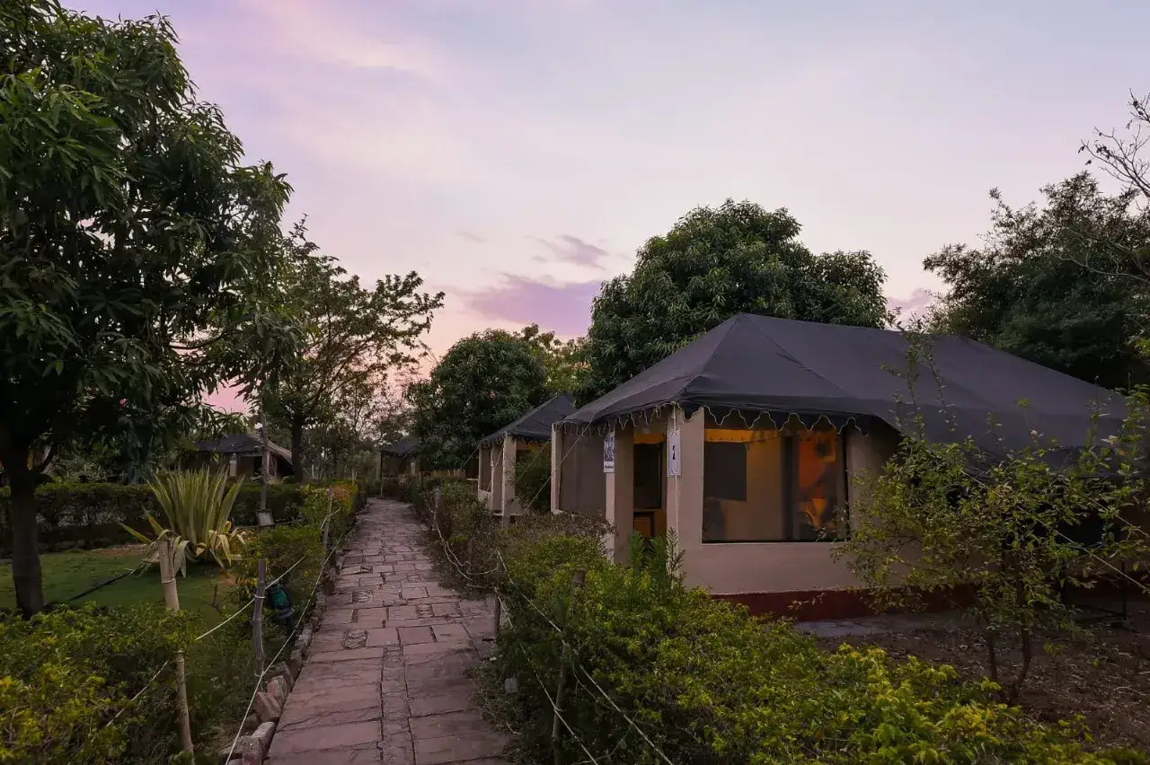 Camp Serai Tiger Resort, photo 11