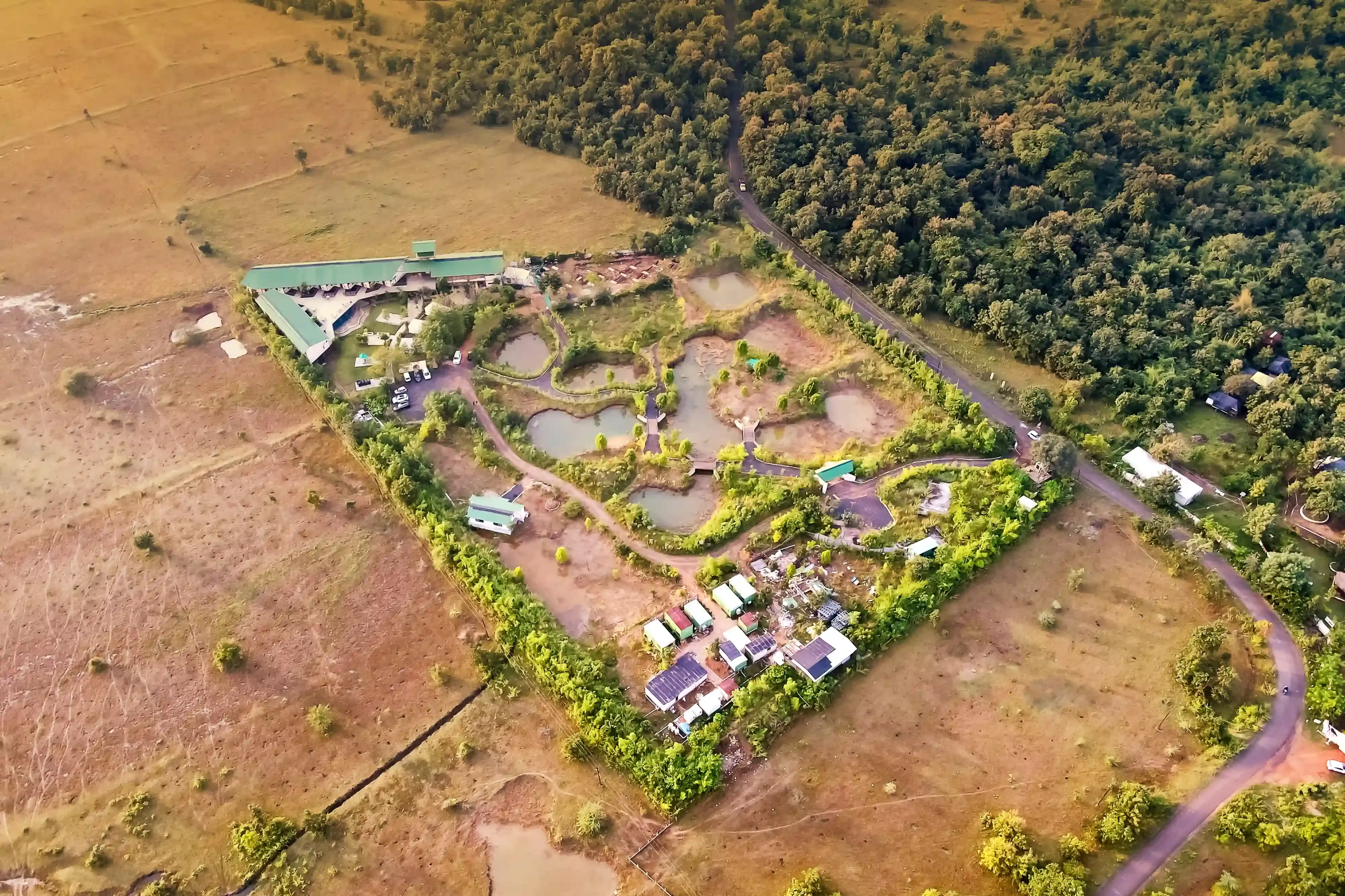 Aerial view of a jungle resort beside the Tadoba forest