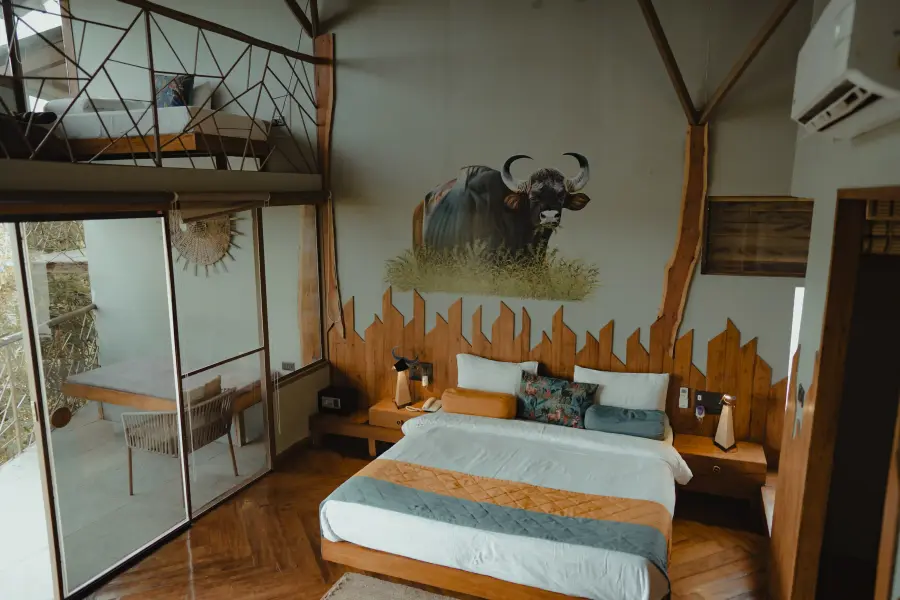 Forest-view room with a private balcony at a luxury stay, Tadoba
