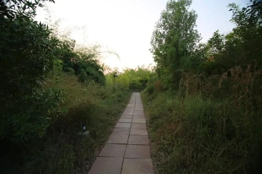 Semi-Luxury stay — cottages, grounds and dining near the Tadoba safari gate (photo 4)