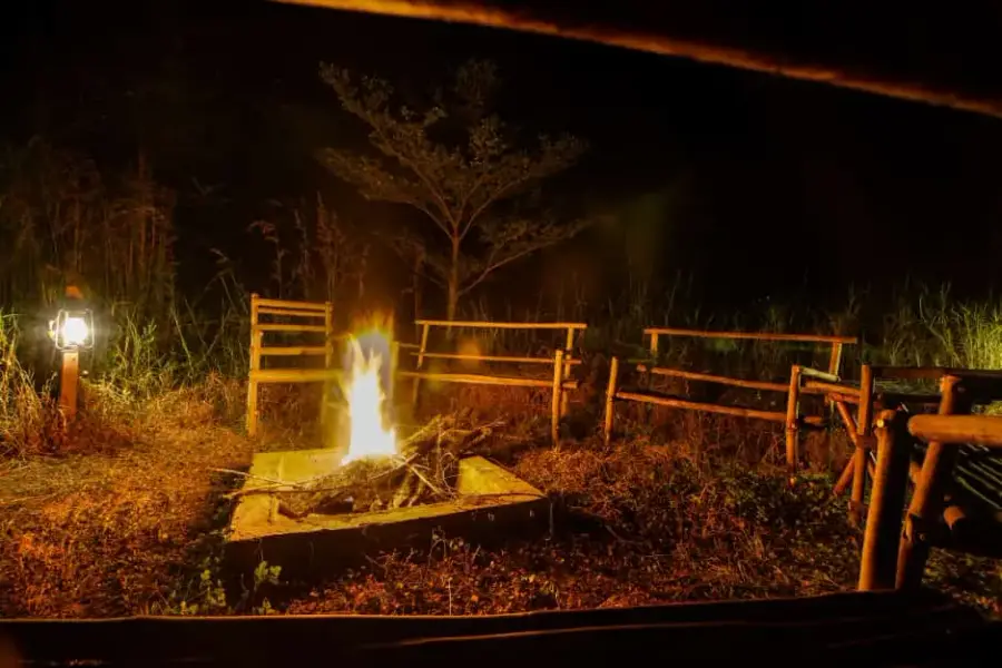 Semi-Luxury stay — cottages, grounds and dining near the Tadoba safari gate (photo 25)