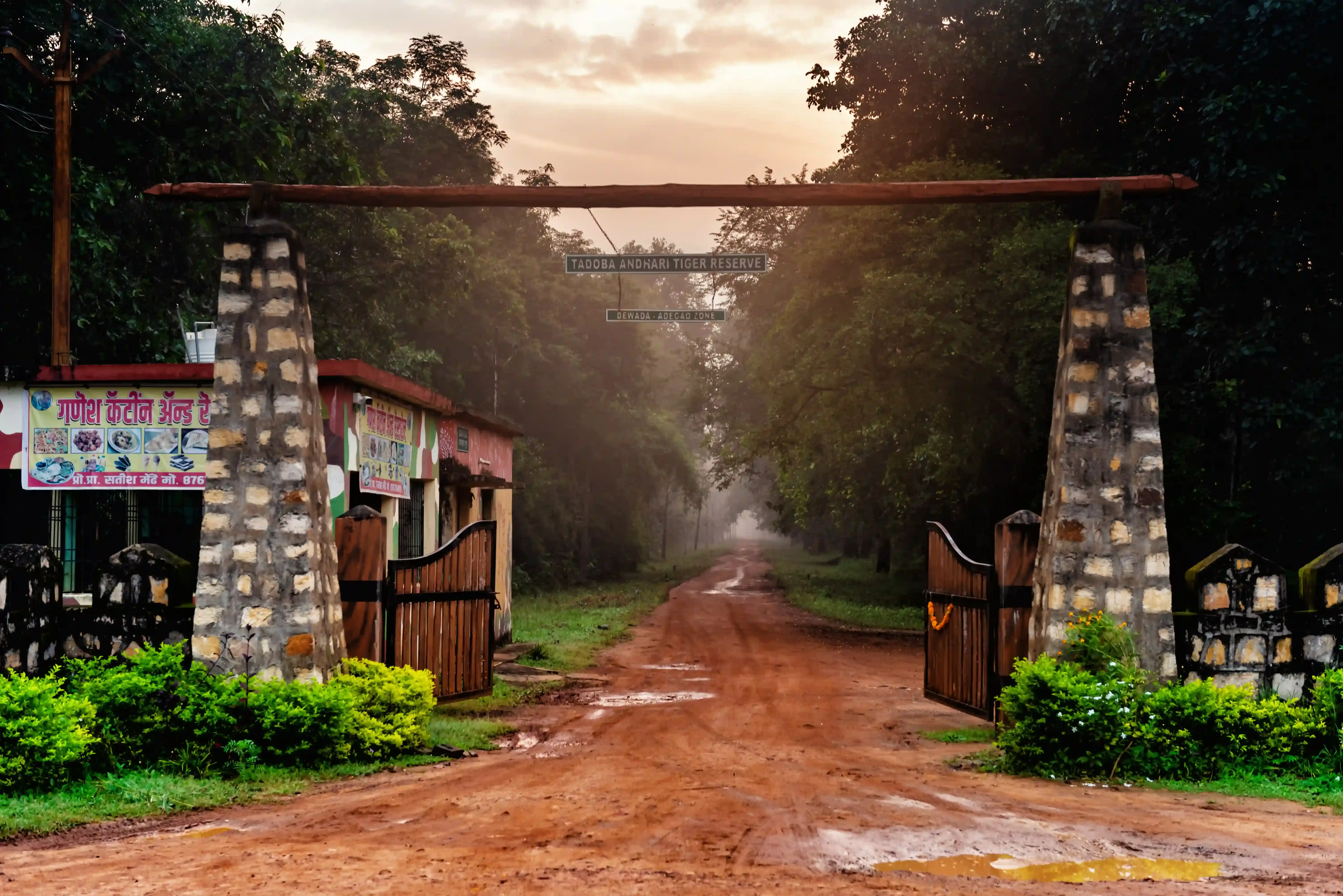 Safari vehicles at a Tadoba gate in the early morning