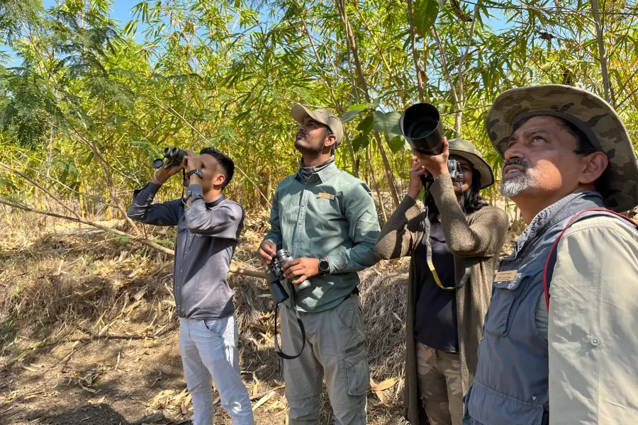 Guests and a naturalist scanning the canopy on a guided nature walk