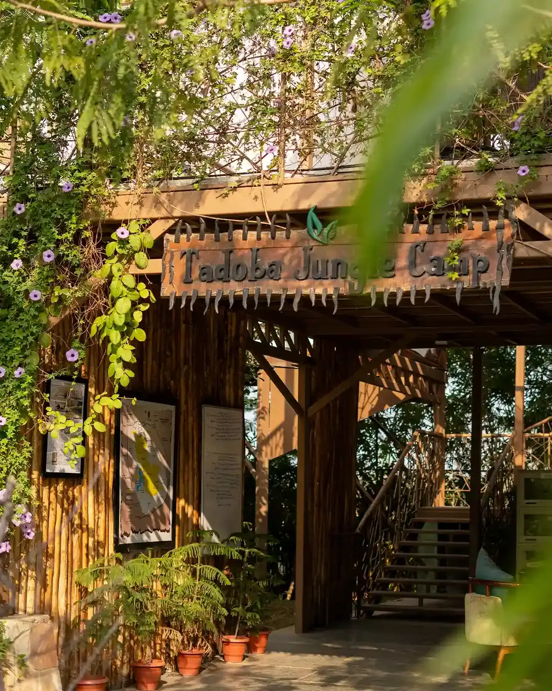 Resort near the Tadoba forest