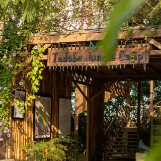 Luxury stay near Tadoba