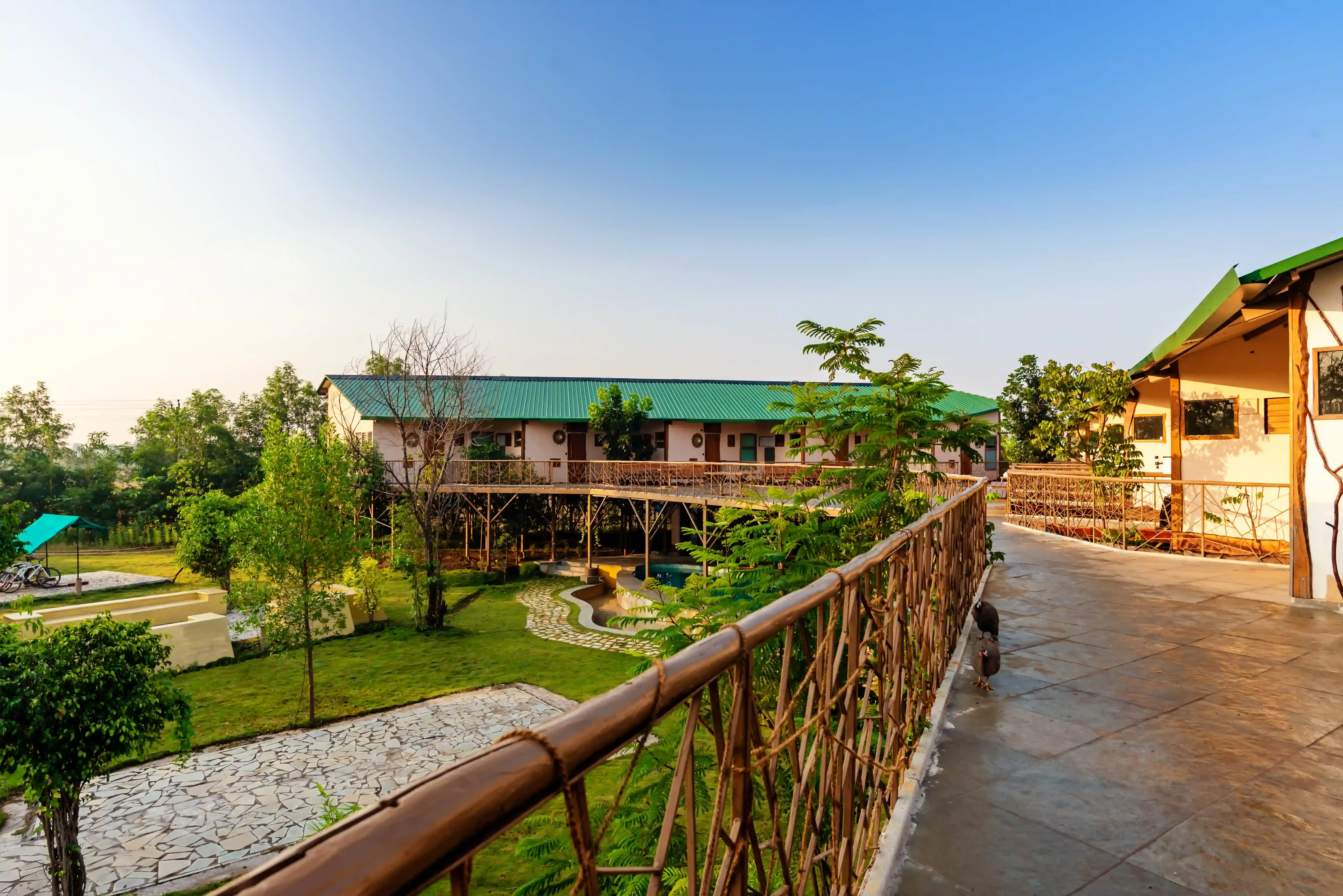 Garden walkway and cottages at a jungle resort