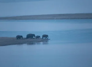 Manas wildlife — 3-day itinerary