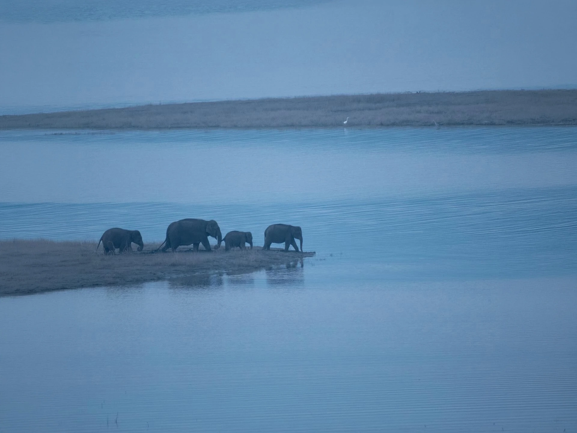 Manas Wildlife Safari — Short Break — Assam