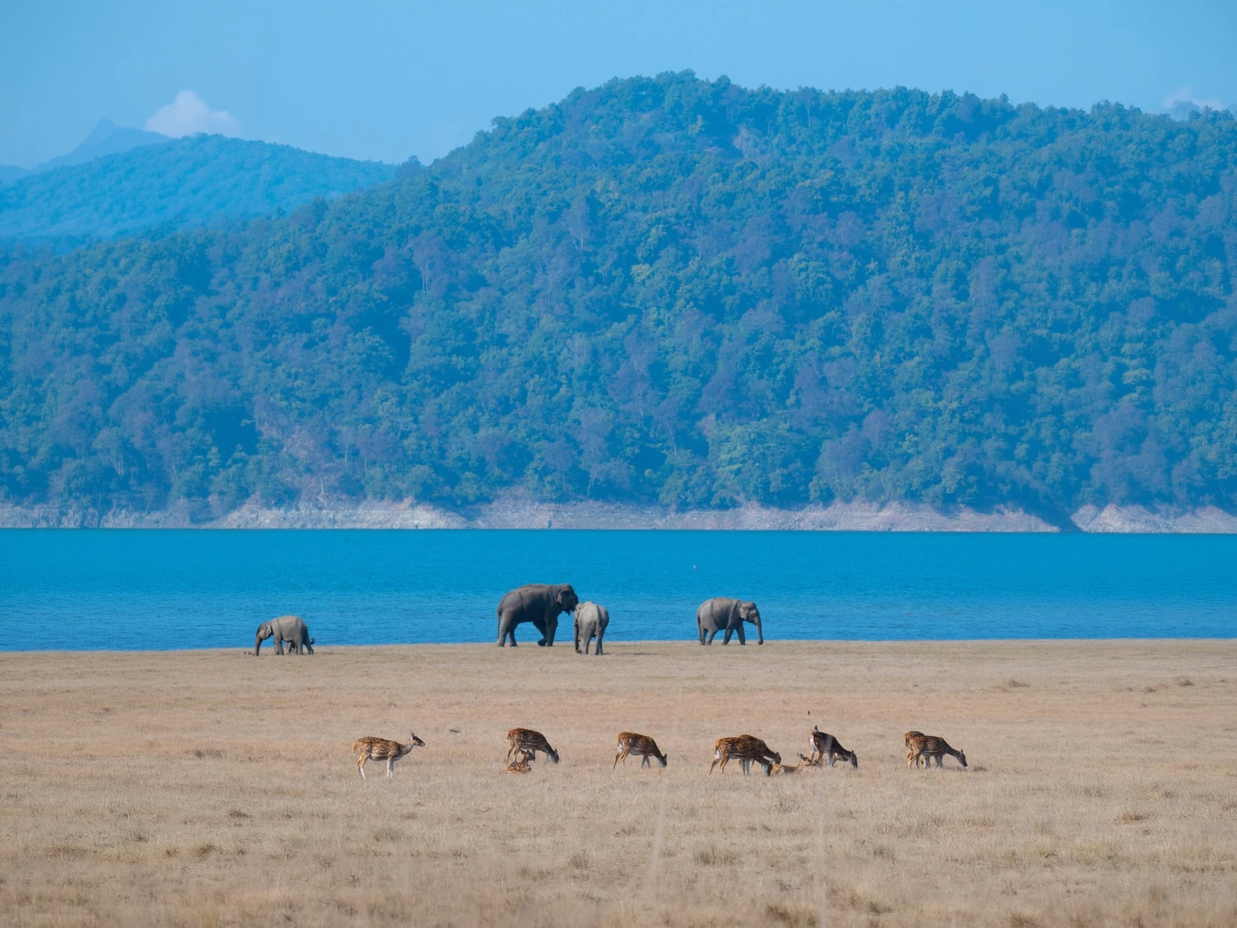 Manas Wildlife Safari — Short Break — Assam