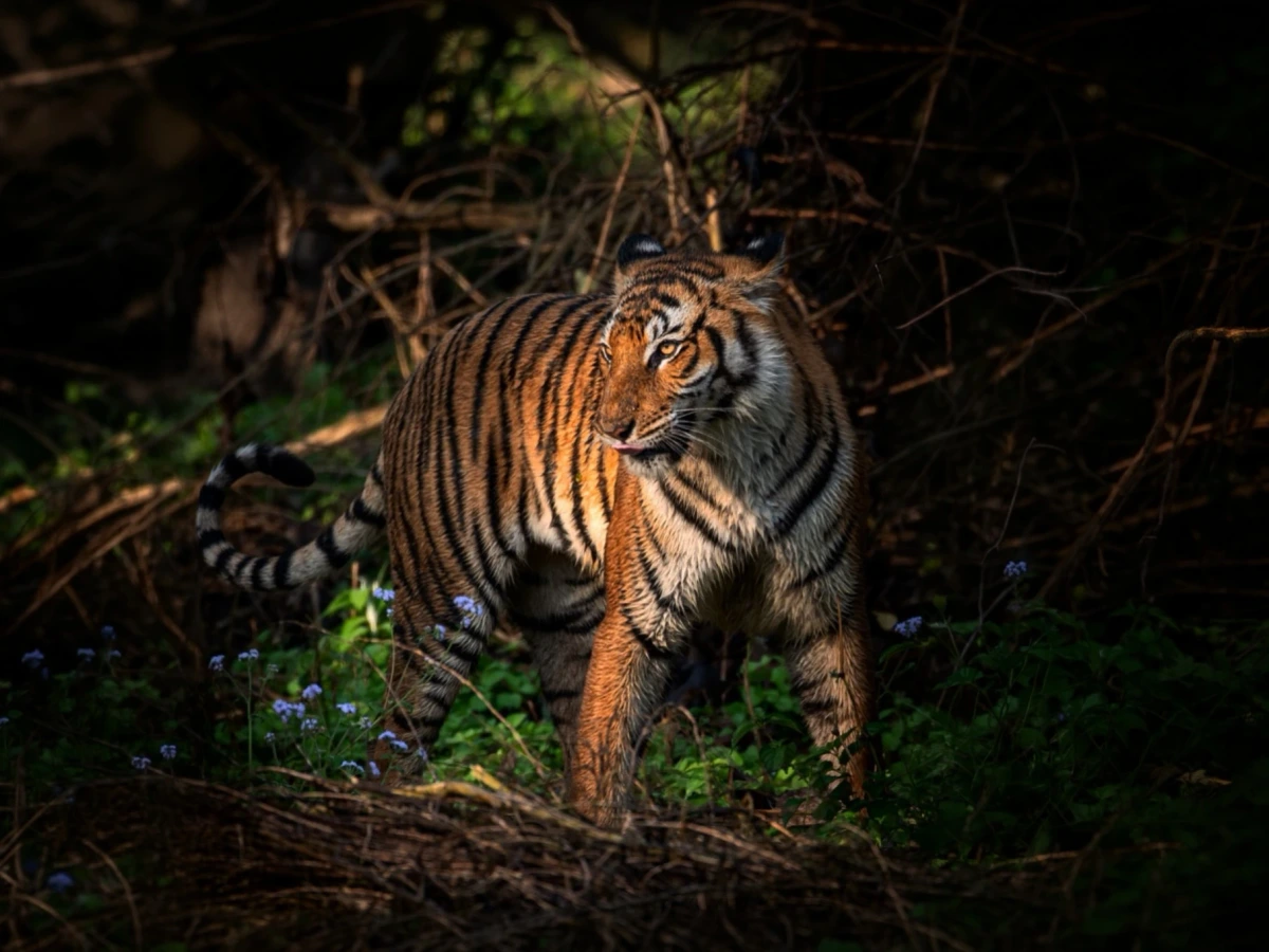 Kishanpur — Uttar Pradesh