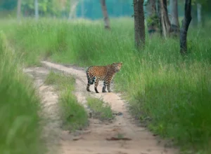 Tipeshwar wildlife — 3-day itinerary