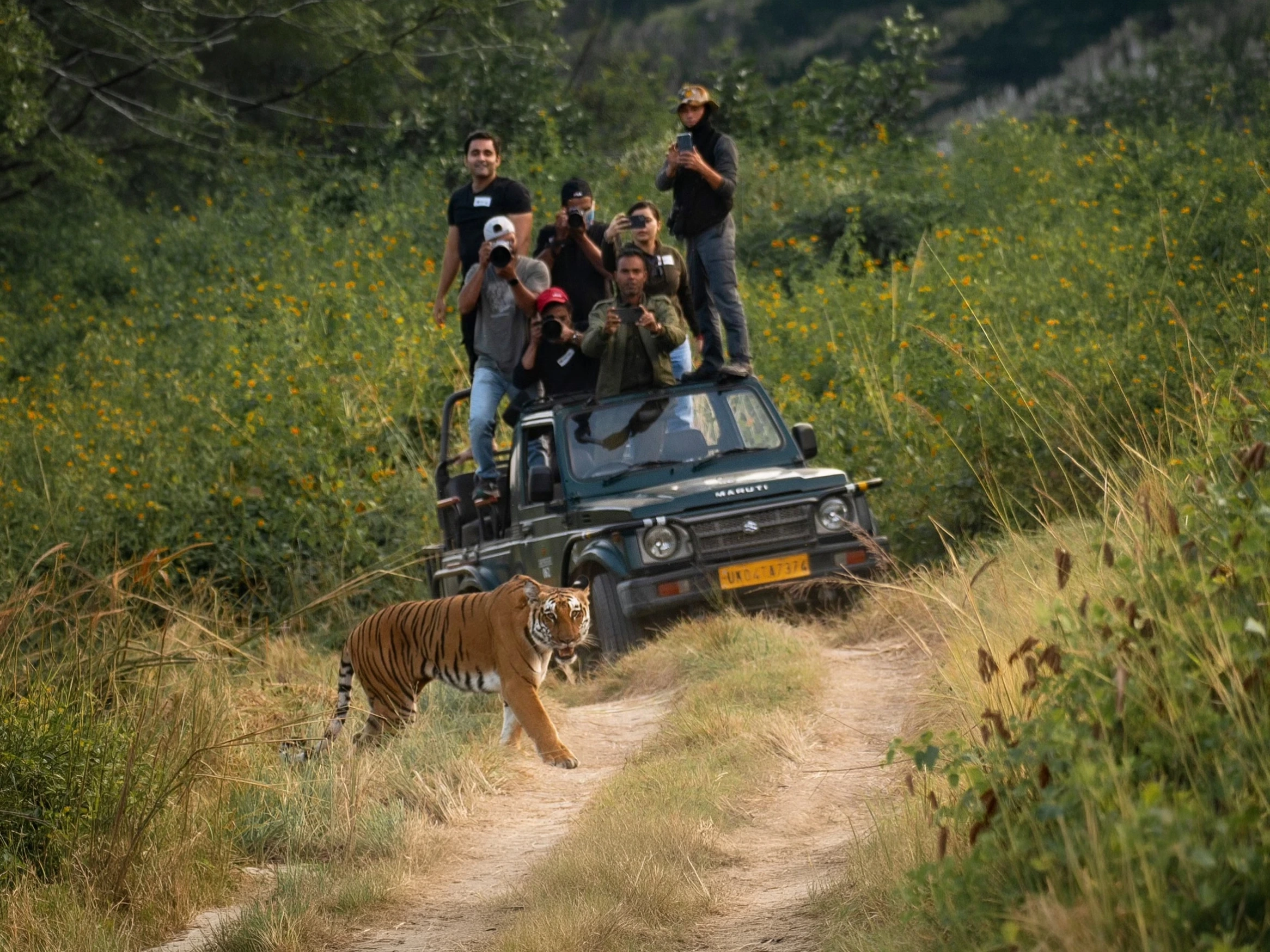 Safari jeep tourists during a tiger sighting