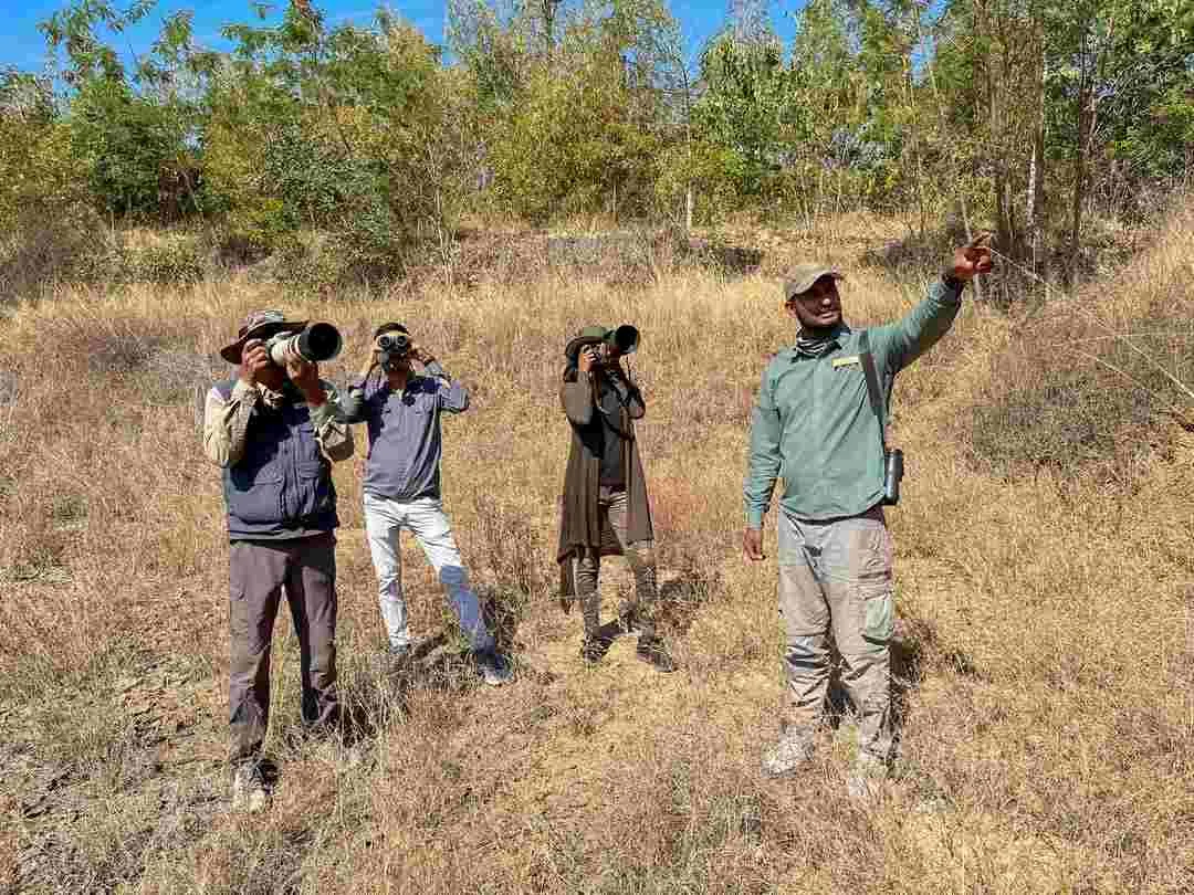 Guests birdwatching with a Wild Excursions naturalist in the Tadoba grasslands