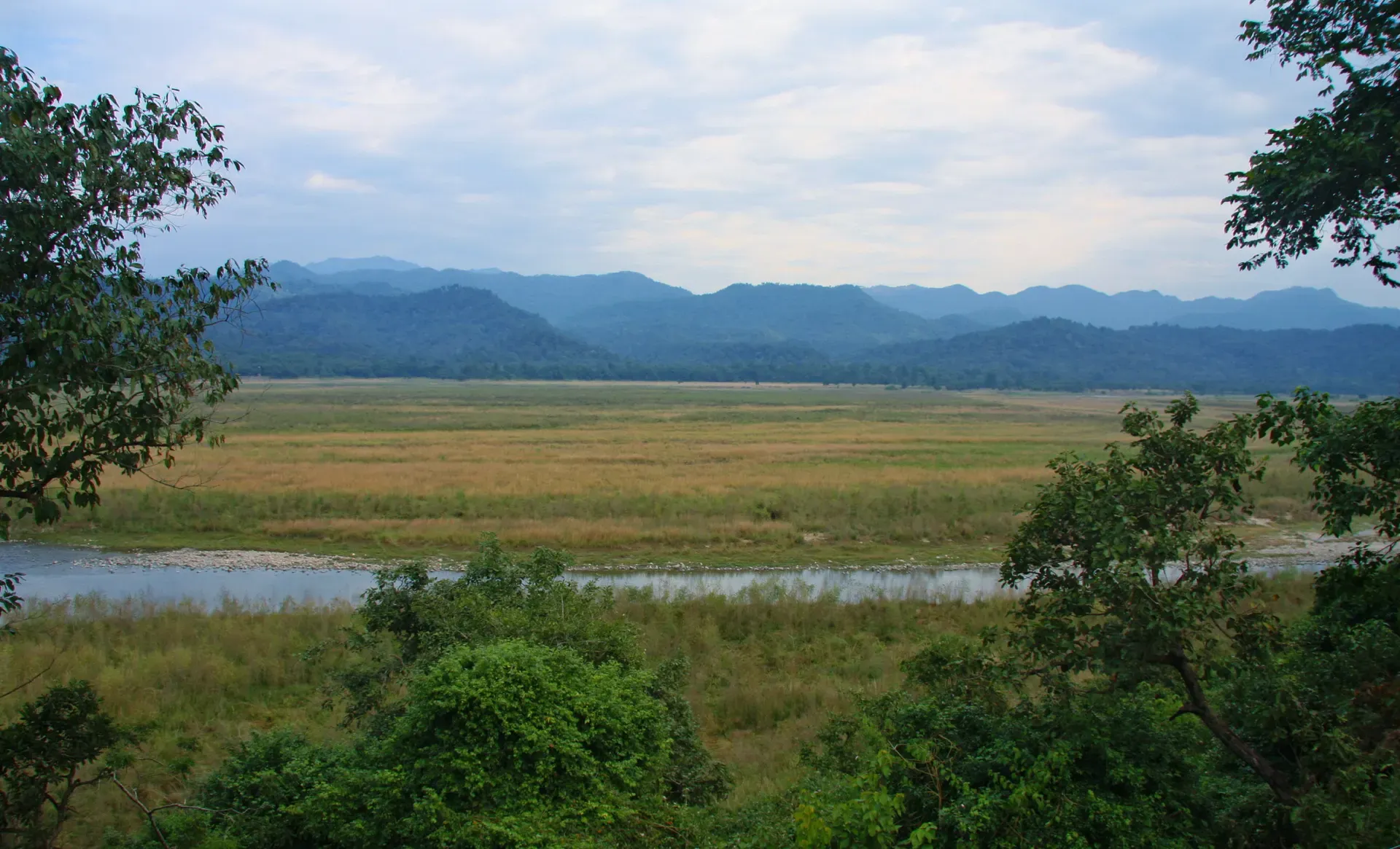 Dhikala grassland and the Ramganga river below the Shivalik hills in Jim Corbett National Park