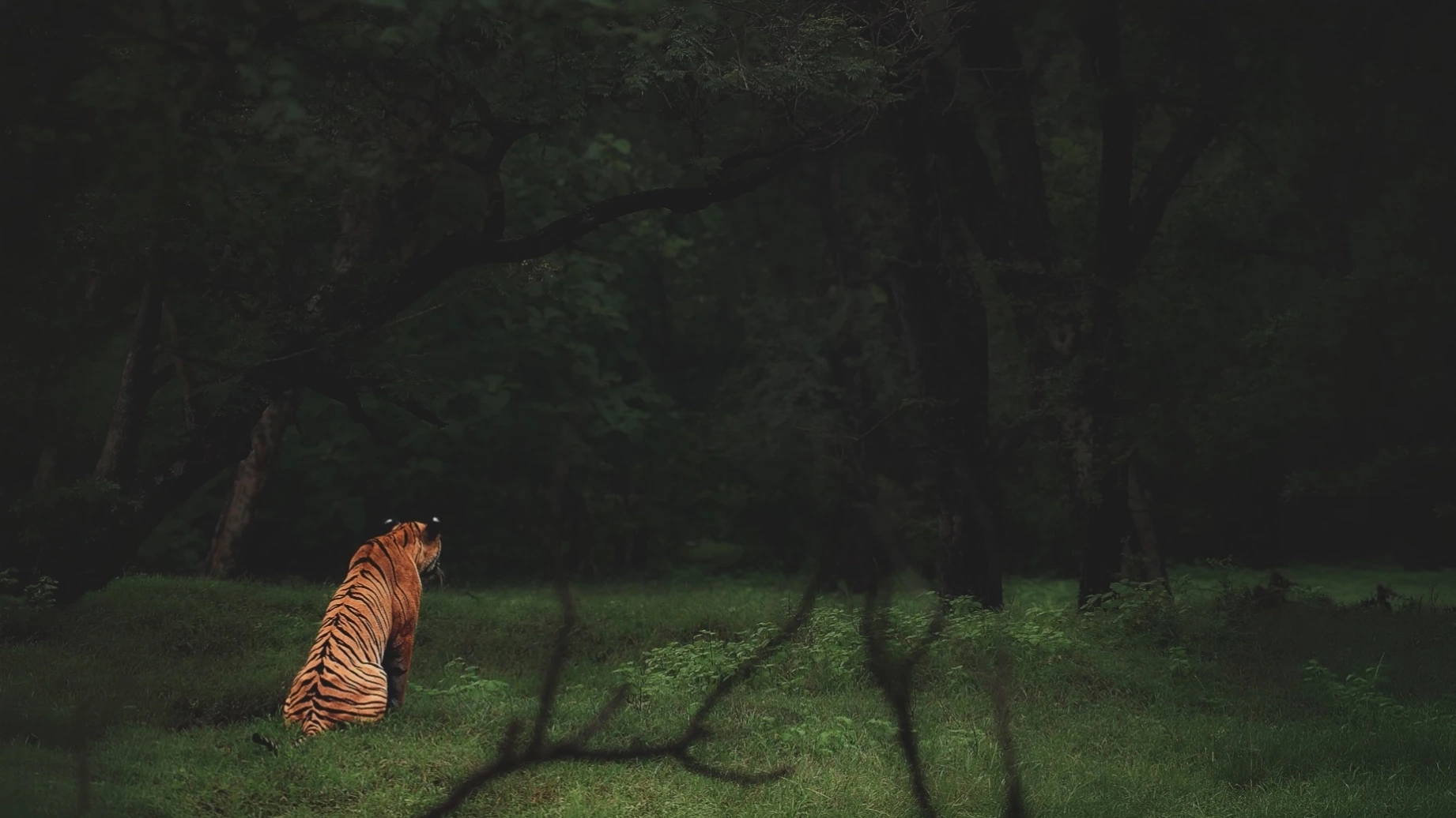 Day 1 — Tipeshwar