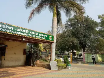 Reception building at Moharli Gate with the Tadoba-Andhari Tiger Reserve sign
