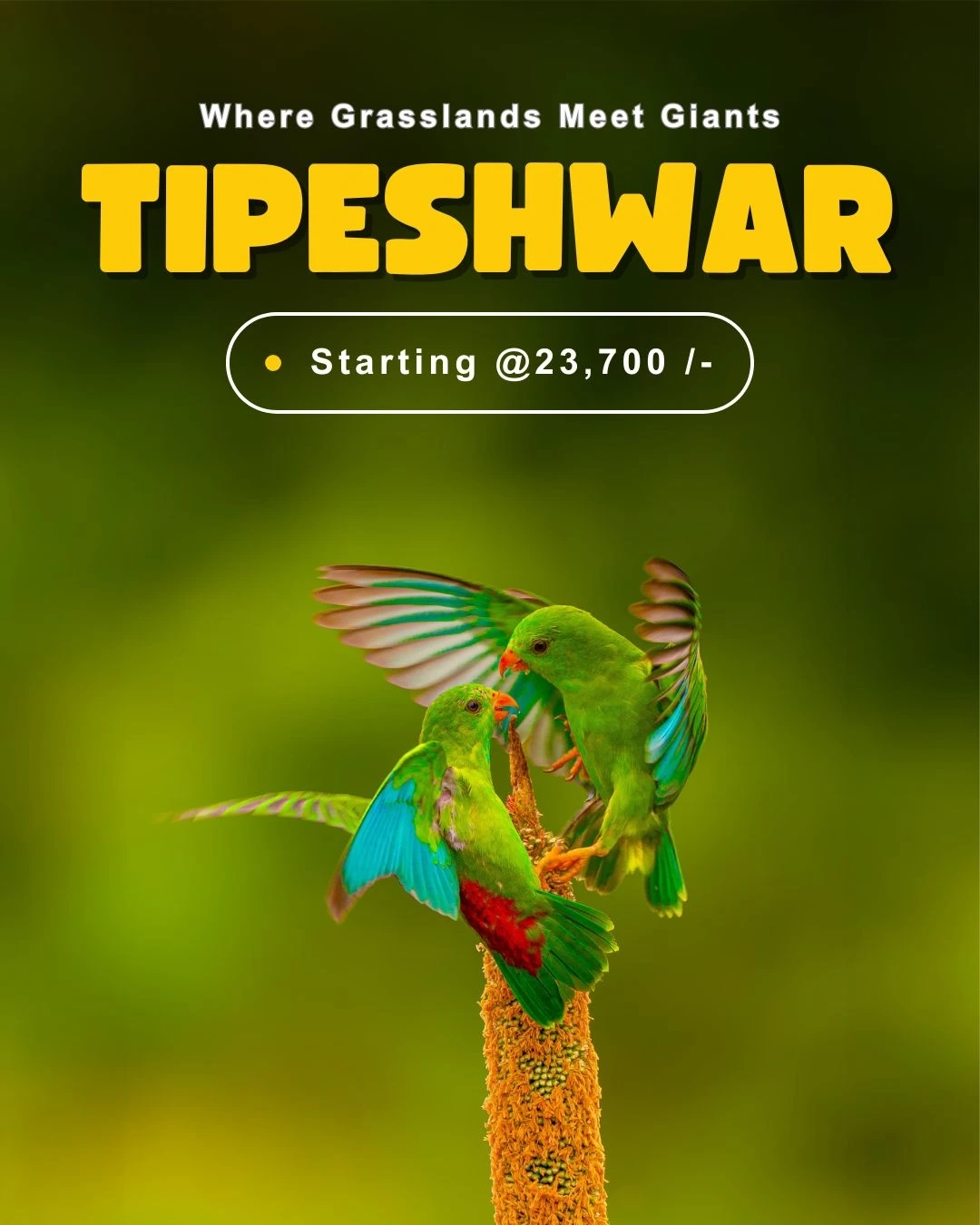 Jhalana Leopard Safari — Rajasthan