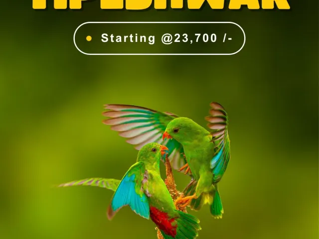 Dudhwa Tiger Safari — Uttar Pradesh