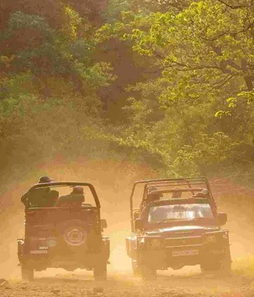 Jeep Safari