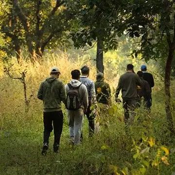 Nature Walk