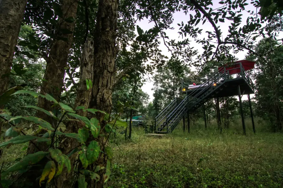 Grounds, dining and experiences at a luxury jungle camp near Pench (photo 1)