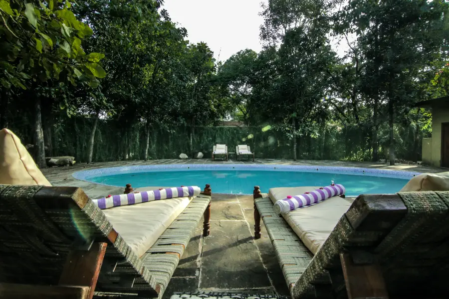 Grounds, dining and experiences at a luxury jungle camp near Pench (photo 6)