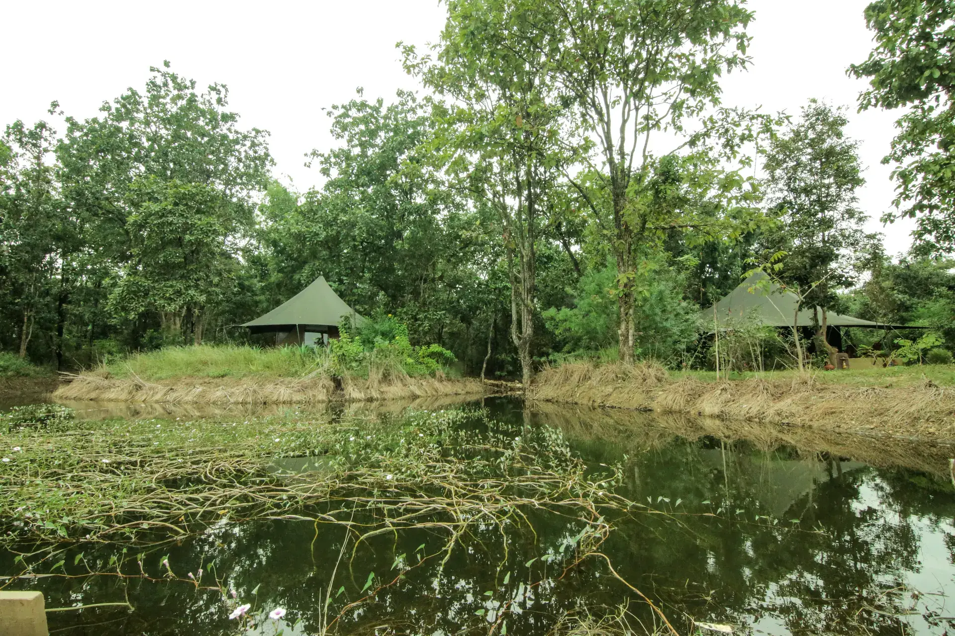 Lake inside a camp's grounds