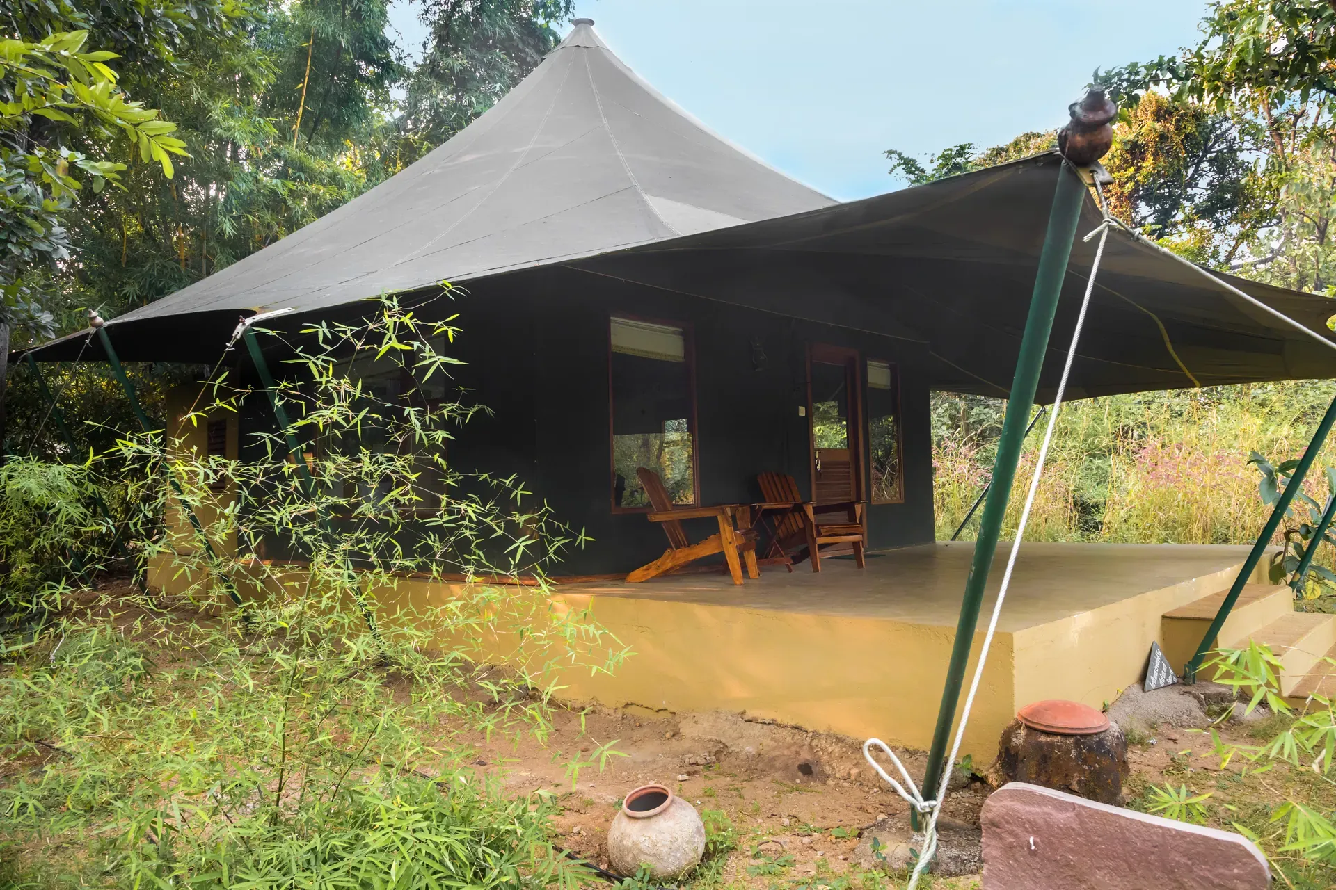Luxury safari tent set among trees