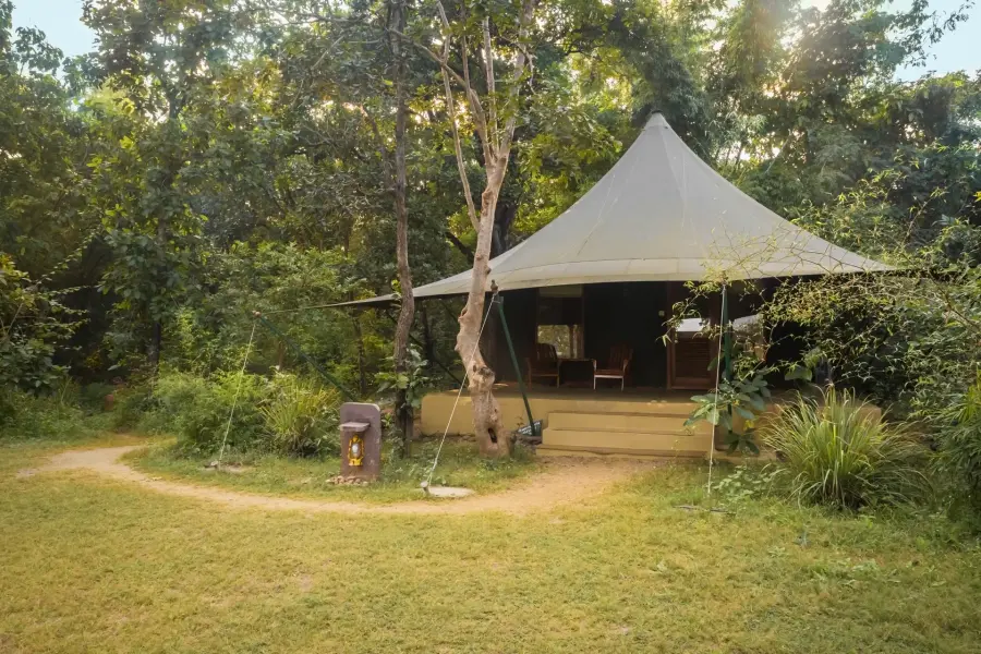 Luxury safari tent at a jungle camp near Pench’s Turia gate (photo 12)